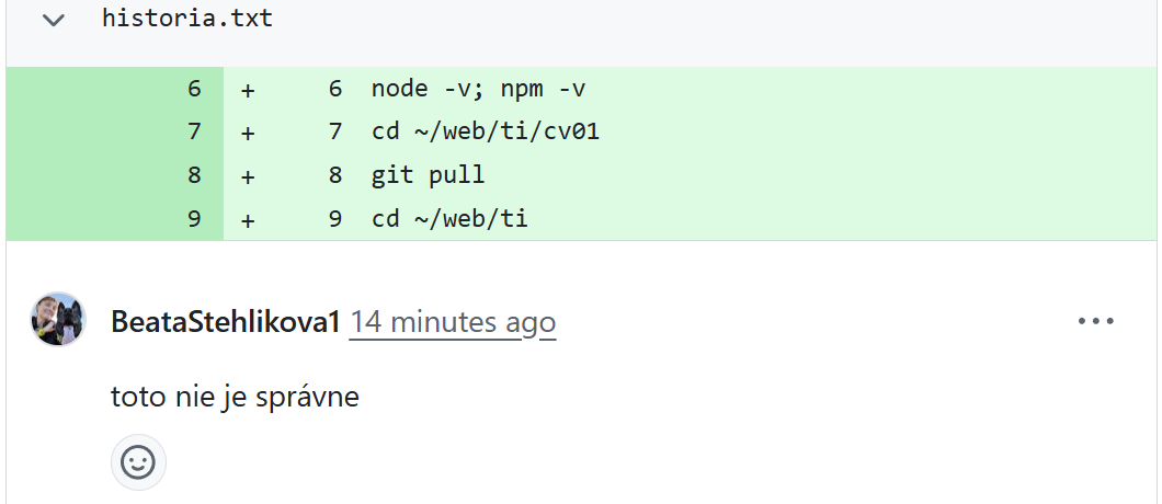 04-8 Komentár učiteľa vo Feedback pull request